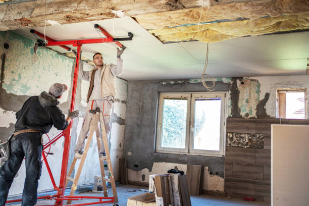 Best Spray Foam Insulation in Battlefield, MO